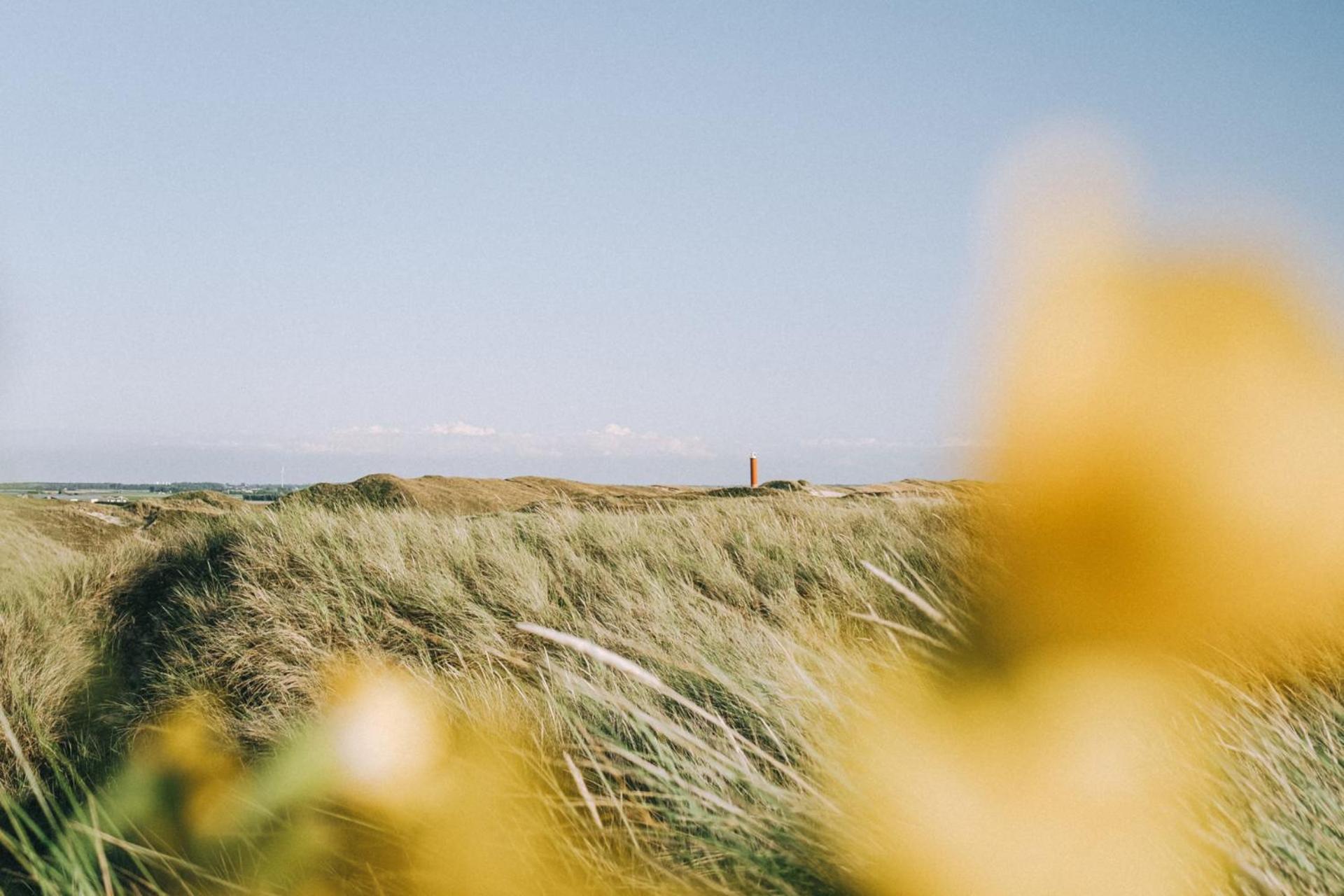 Beach Appartement 14 - Aan De Duinen, Callantsoog Aan Zee Luaran gambar